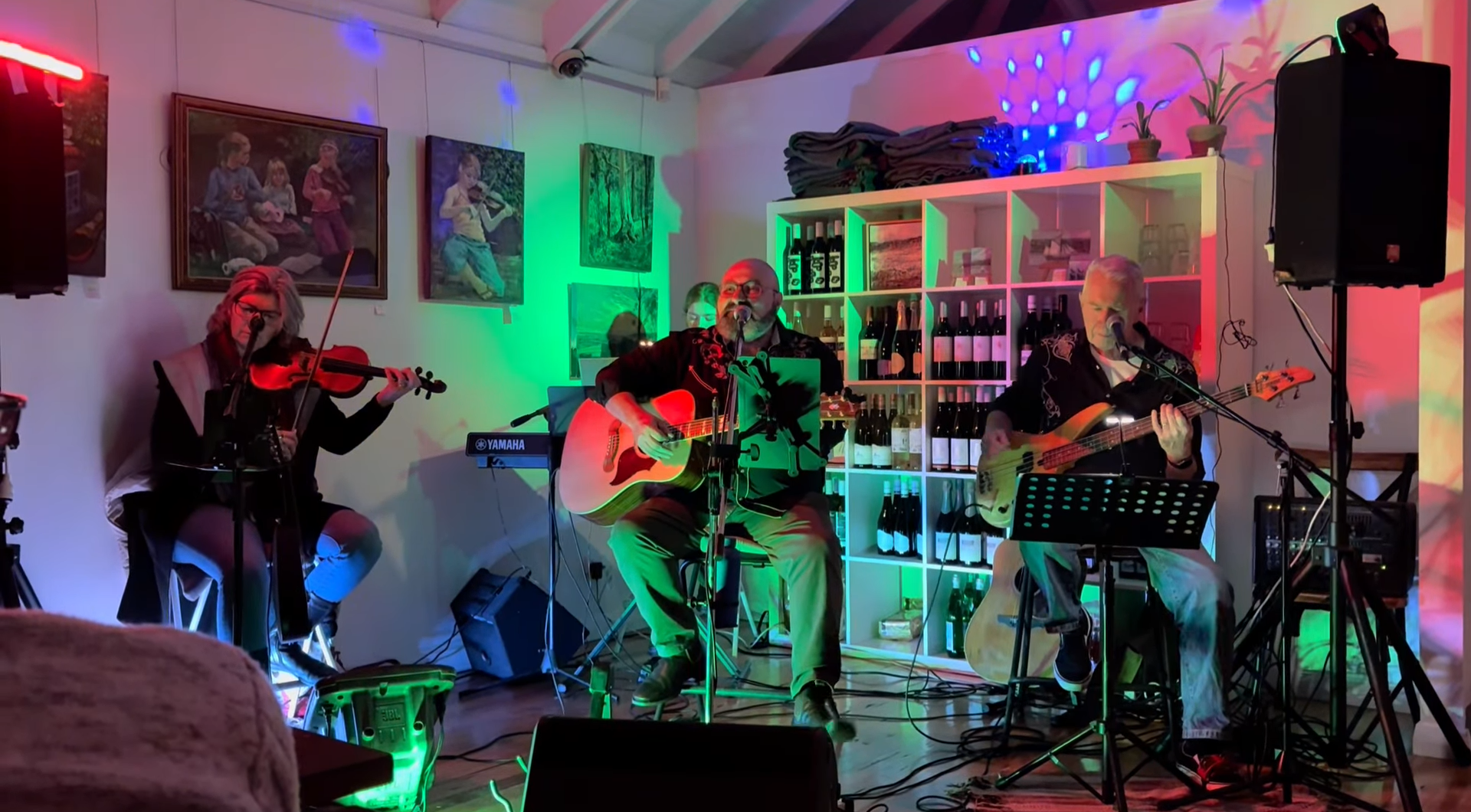 Vintage Vinyl Vibe performing